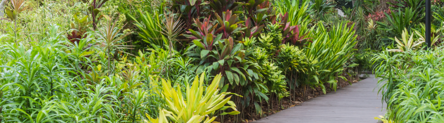 Image 70: Keeping Pace with Evolving Sustainability Assurance Requirements 