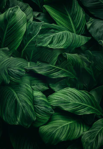 BDO Singapore Sustainability Progress Report 2022