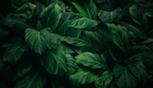 BDO Singapore Sustainability Progress Report 2022