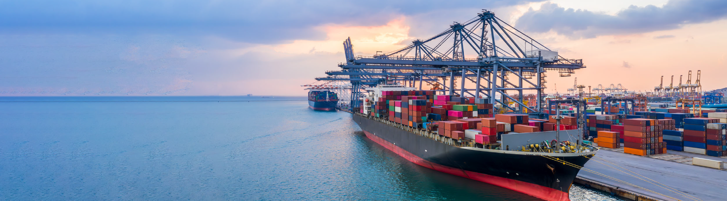 Trading in Turbulence US Tariffs