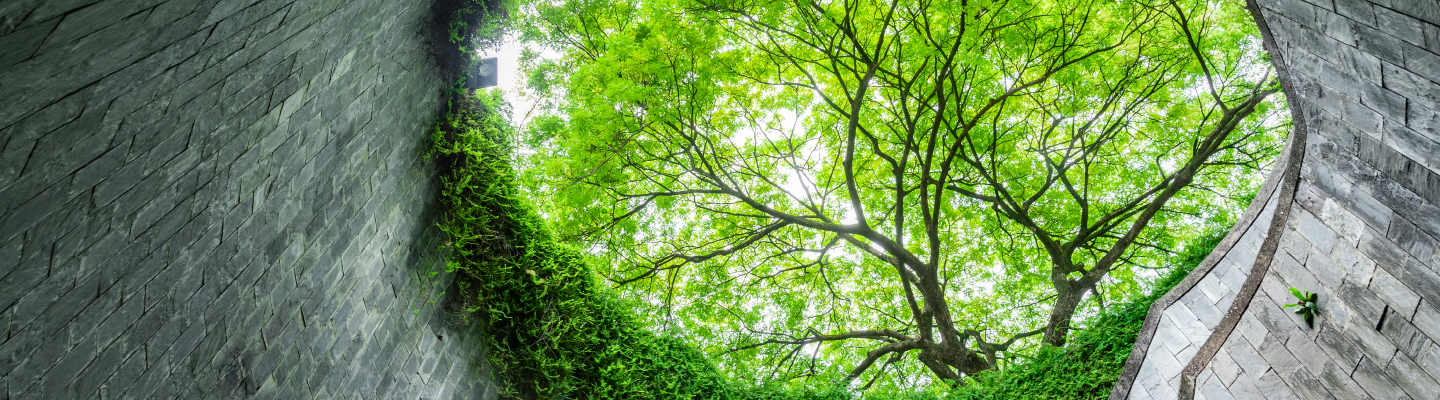 BDO Sustainability Reporting 2023 to 2024
